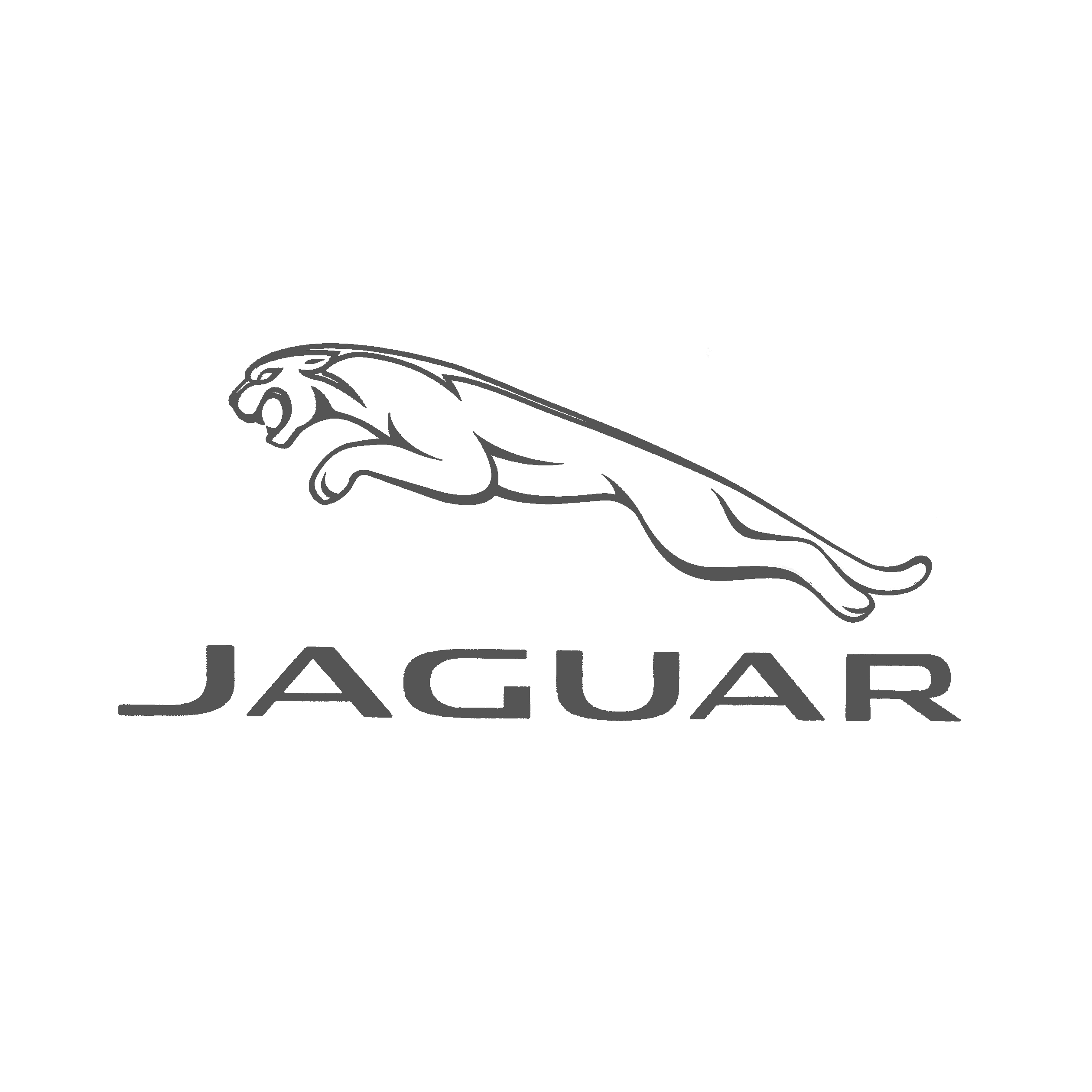 Jaguar_Gray